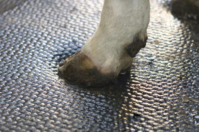 DeLaval Kuhmatratze M40R
