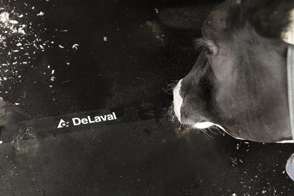 DeLaval stalmatras M45R