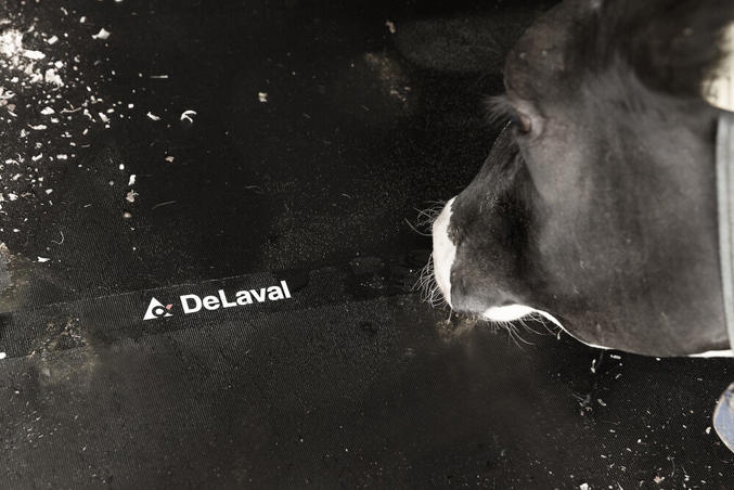 DeLaval inek döşeği M45R