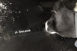 DeLaval madrass M45R Produktbilde