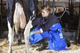 Tablier de traite ouvert DeLaval