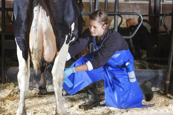Tablier de traite ouvert DeLaval