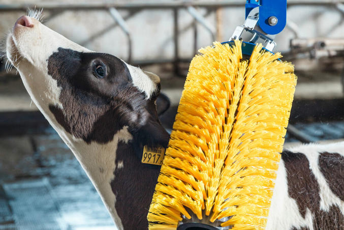 DeLaval miniborste för kalvar MSB