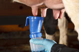 DeLaval Opti Blue™ teat cleaner