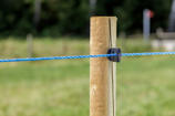 Polyrope standard BL8