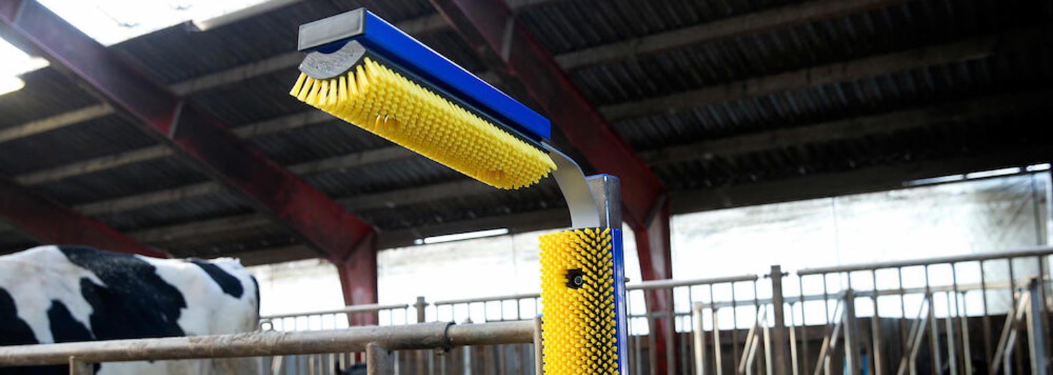 DeLaval Stationary Brush - DeLaval
