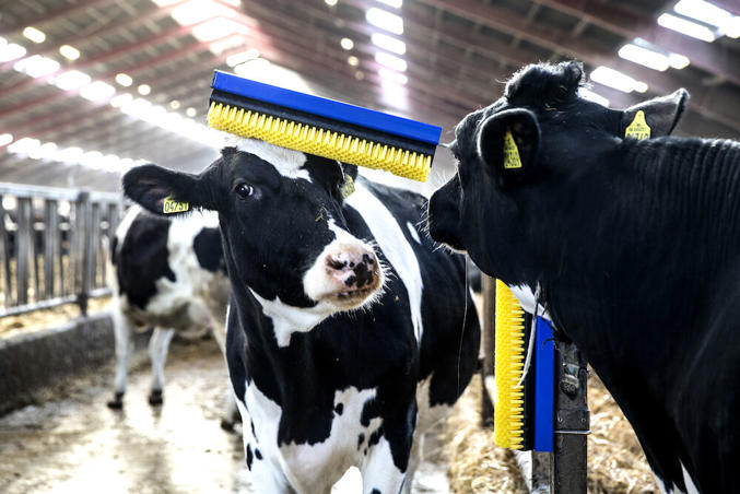 Brosse stationnaire SB DeLaval