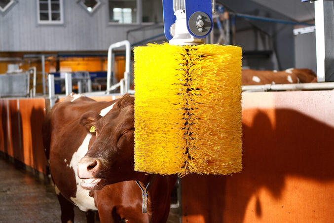 DeLaval sallanan inek fırçası SCB