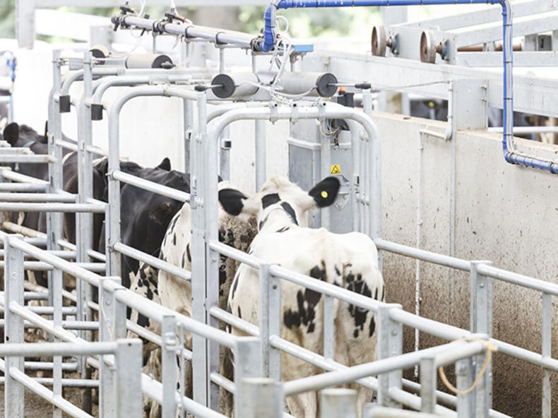 DelPro™ Activity meters [OLD] - DeLaval
