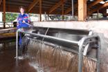 DeLaval ST150, ST200 és ST250 rozsdamentes itatók