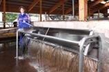 DeLaval ST150, ST200 és ST250 rozsdamentes itatók
