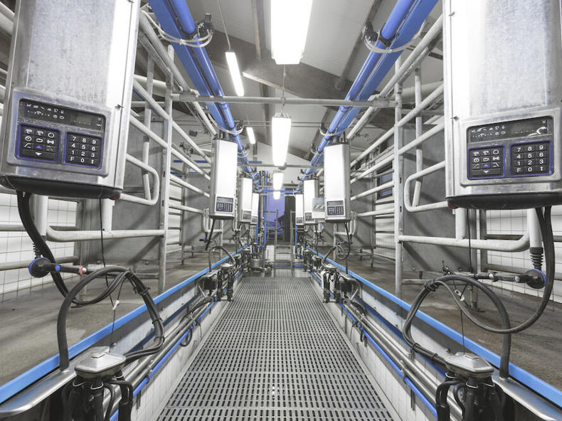 Fastback Rumprail Parlor Parlours - DeLaval