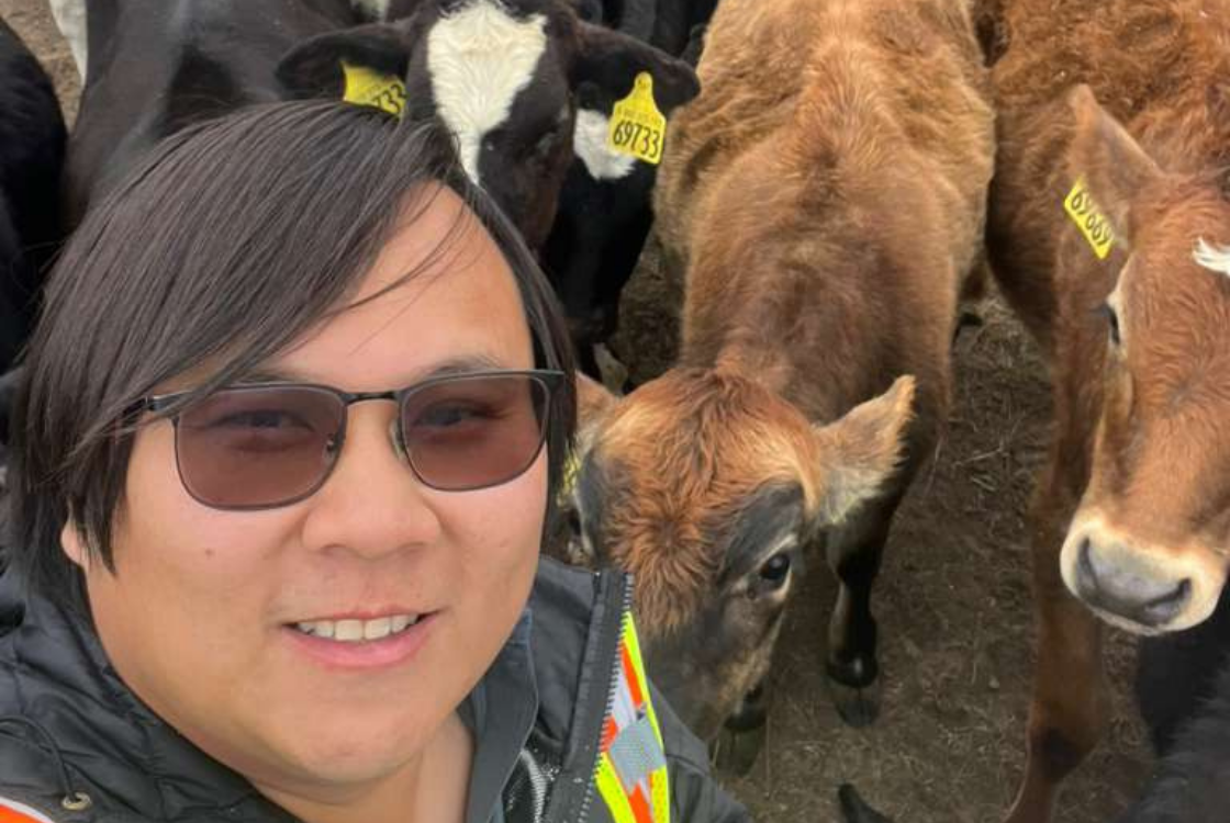 Farmer Richard Weng with cows