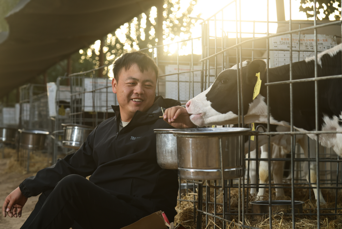 Man sitting and smiling at a cow drinking water
