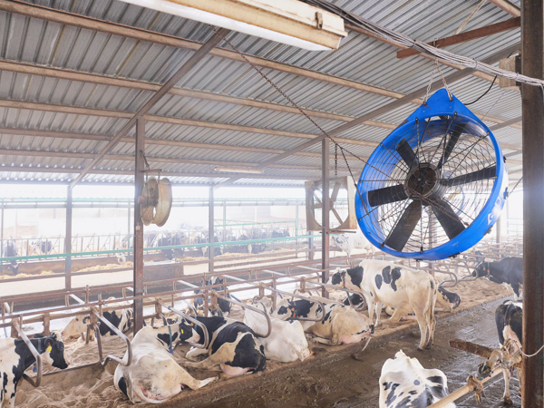 DeLaval ventiliatorius