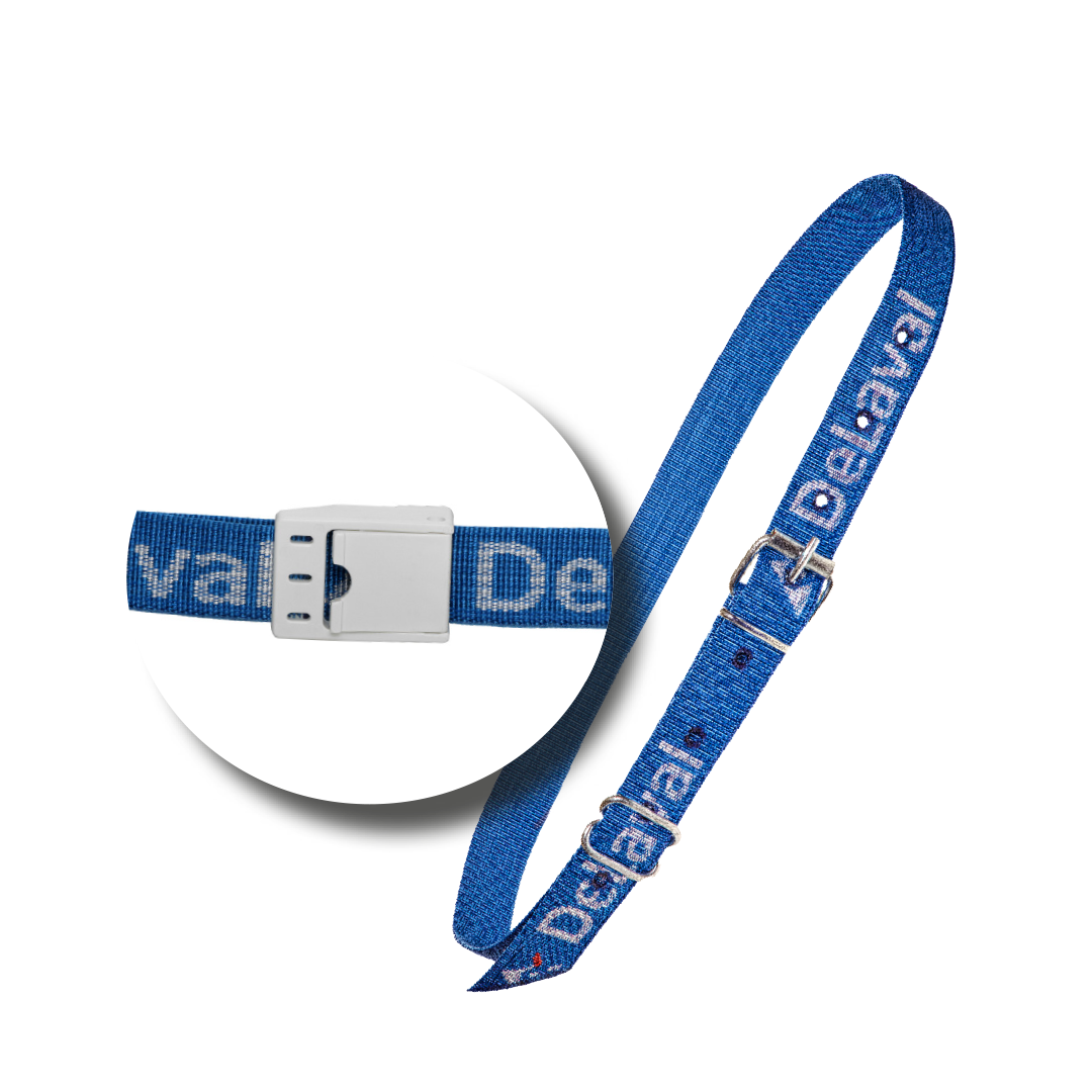 Halsband - bzak 6 -2023 - 1080x1080.png