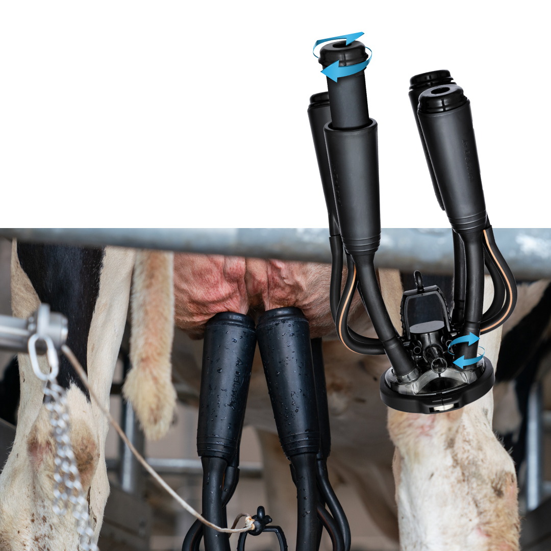 DeLaval Evanza melkstel