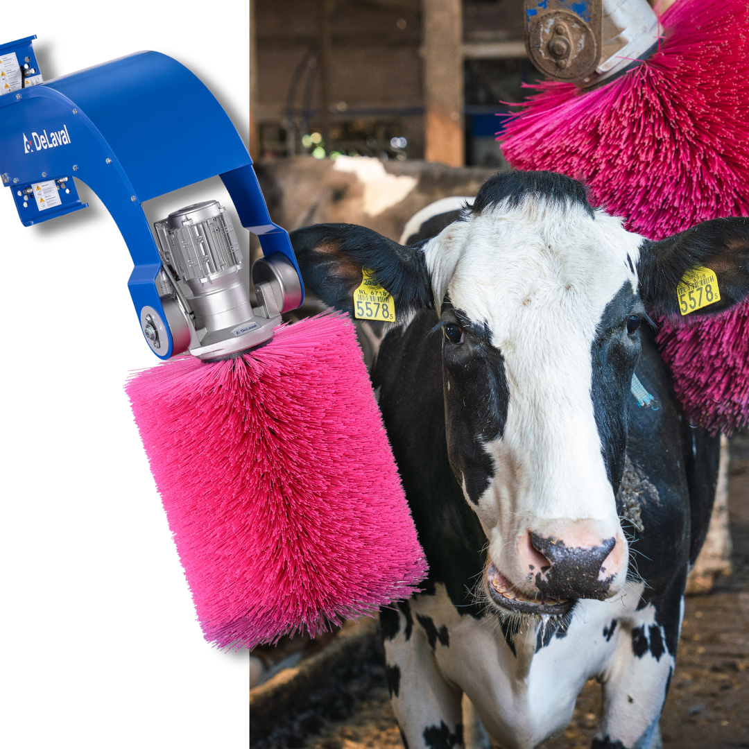 DeLaval roze flexibele koeborstel met holstein koe