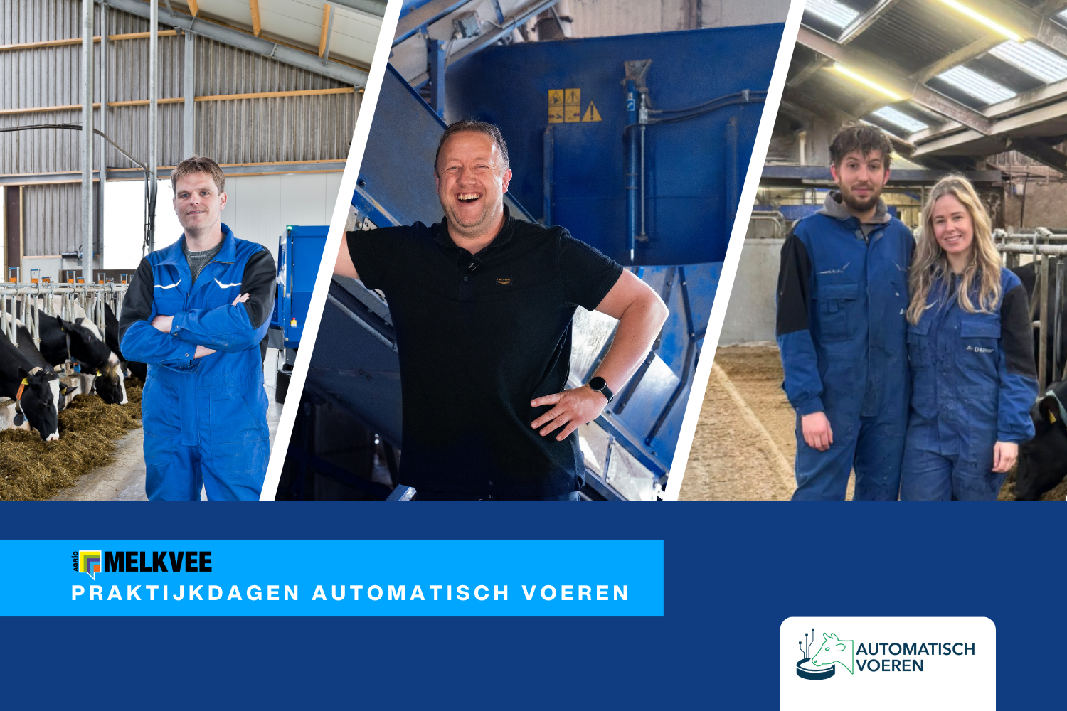 Praktijkdagen automatisch voeren door Melkvee met 3 DeLaval melkveehouders