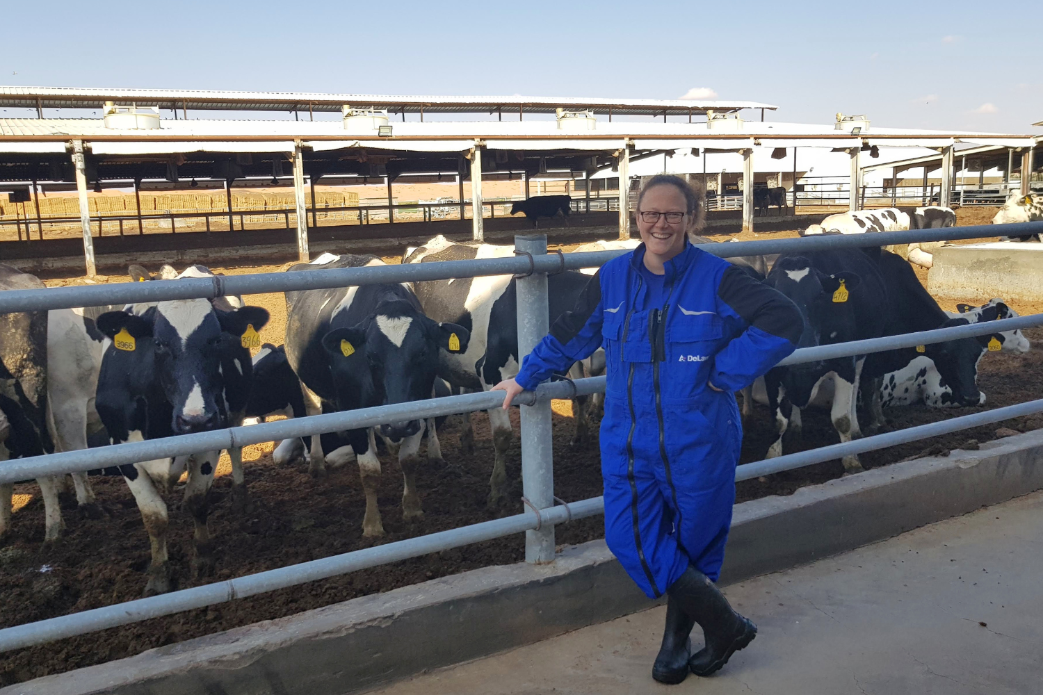 Julie Geldhof in DeLaval overall aan het voerhek in het buitenland met koeien