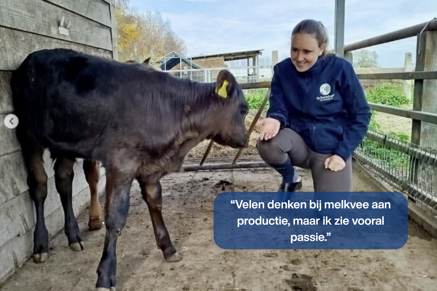 Melkveehouder Kim vd Elsen van melkveebedrijf de Zandslagen bij 2 kalfjes