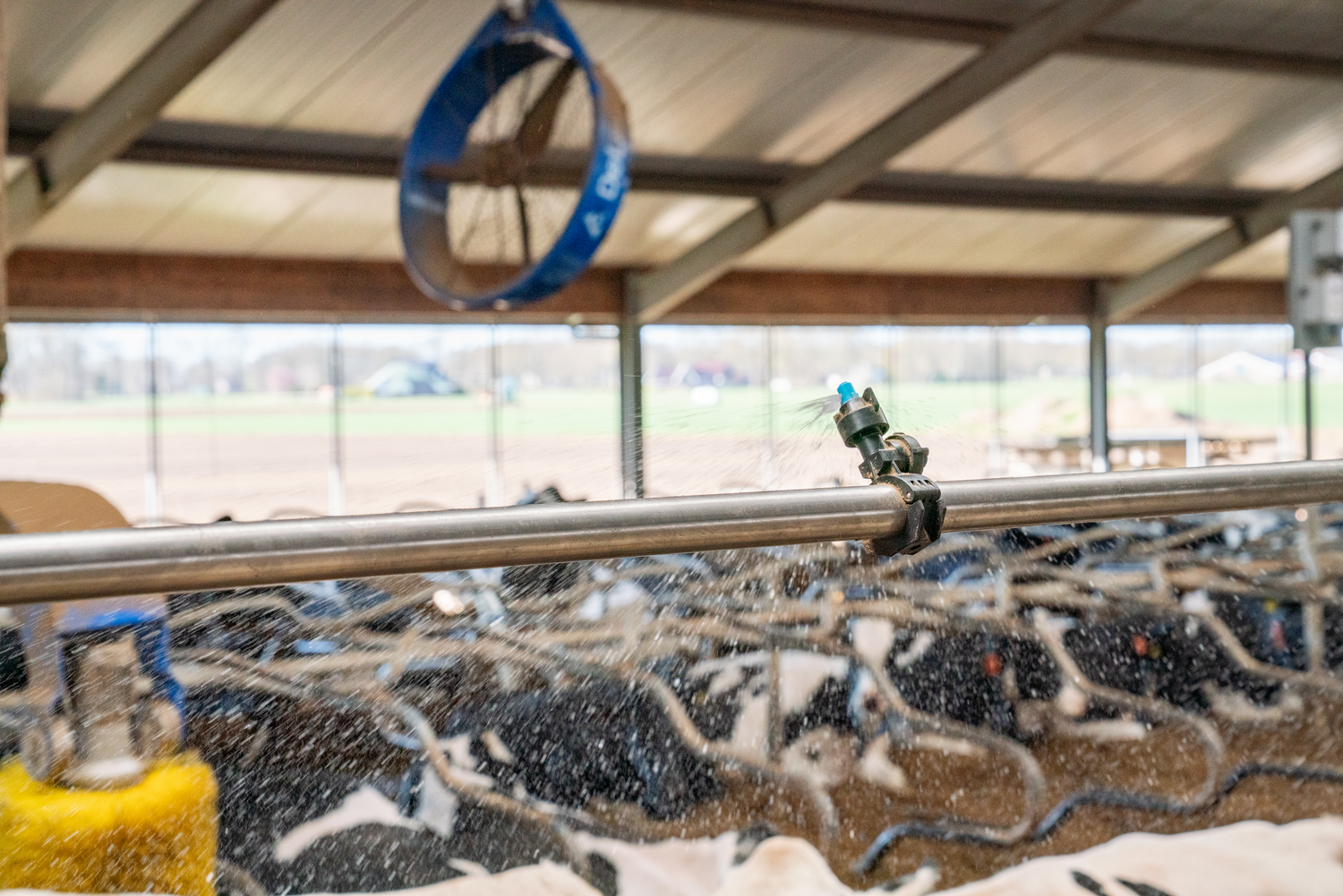 DeLaval Cow Cooling systeem met grove druppel bij het voerhek
