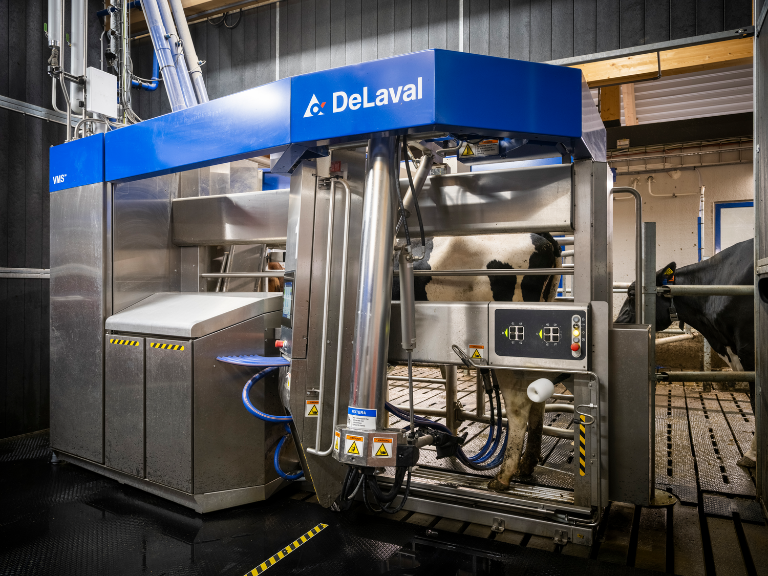 DeLaval VMS V300 melkrobot met koe op Hamra Farm Zweden