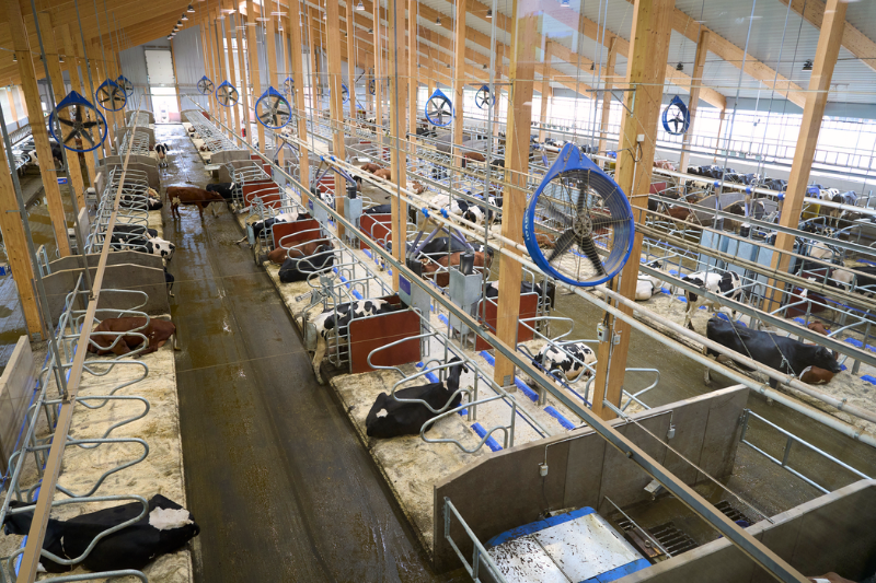 Bovenaanzicht binnenkant stal Hamra Farm van DeLaval
