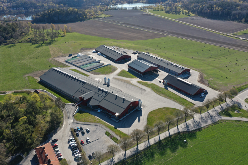 Bovenaanzicht van Hamra Farm
