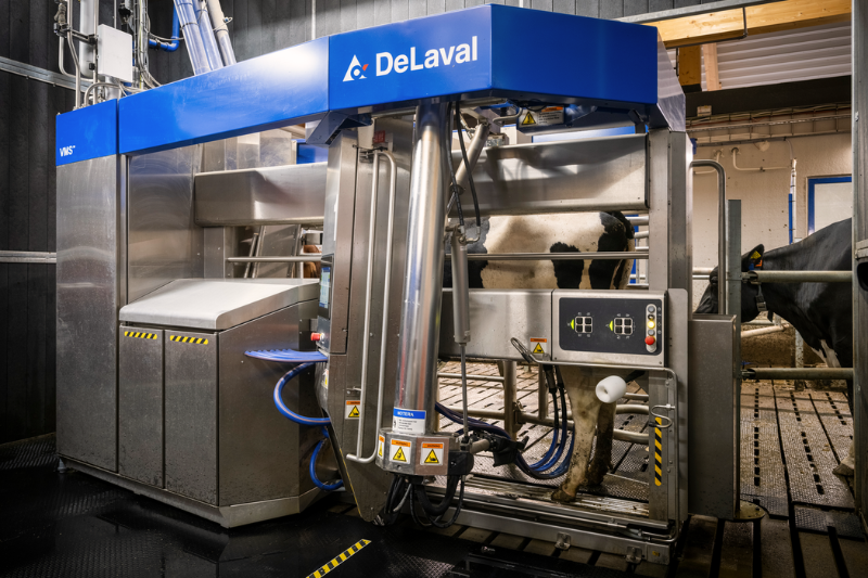 DeLaval VMS V310 V300 melkrobot op Hamra Farm