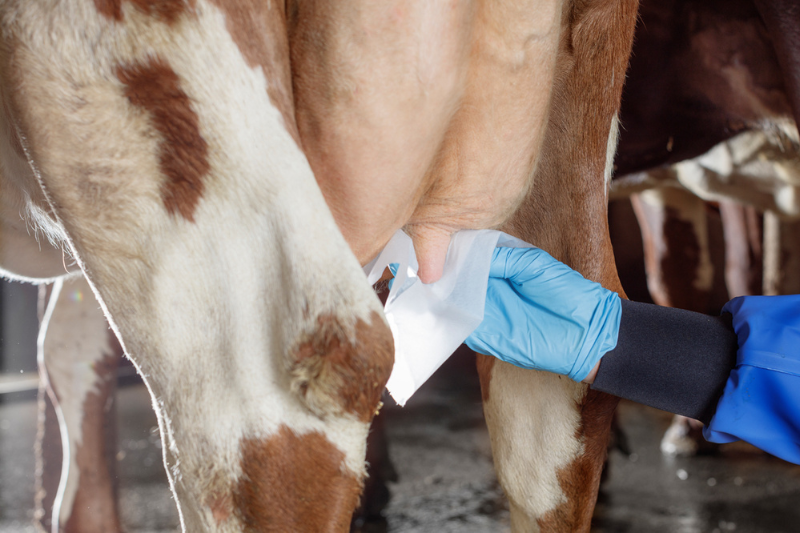 Voorbehandeling met DeLaval Biocell