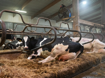 搾乳ロボットVMS™V300 | DeLaval｜デラバル
