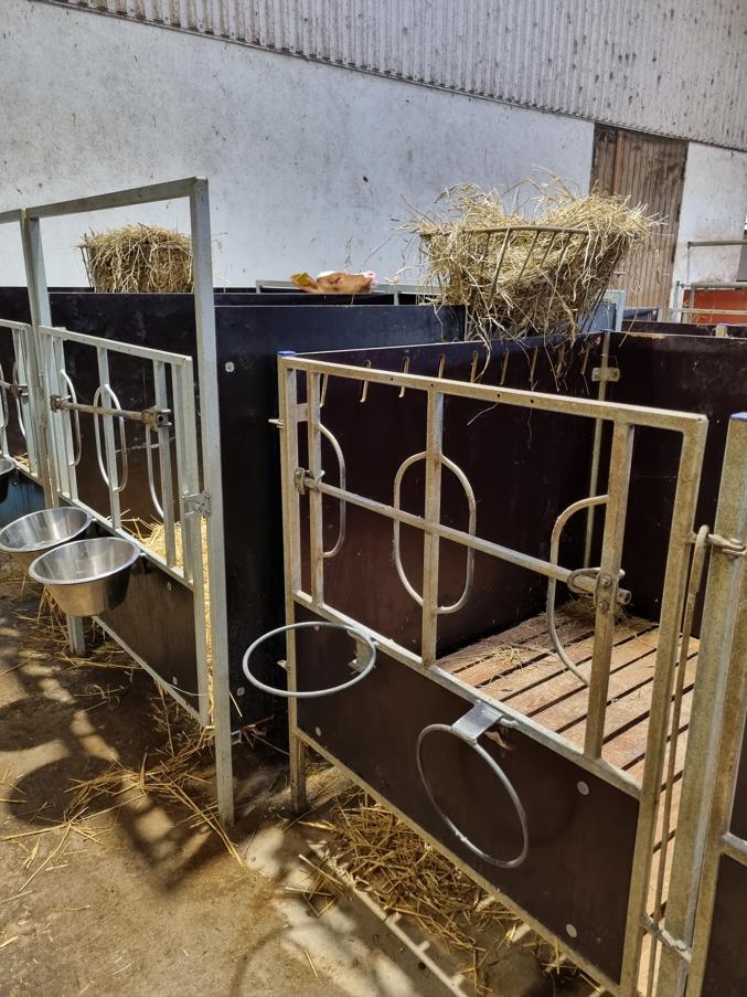 DeLaval kalveboks CB20