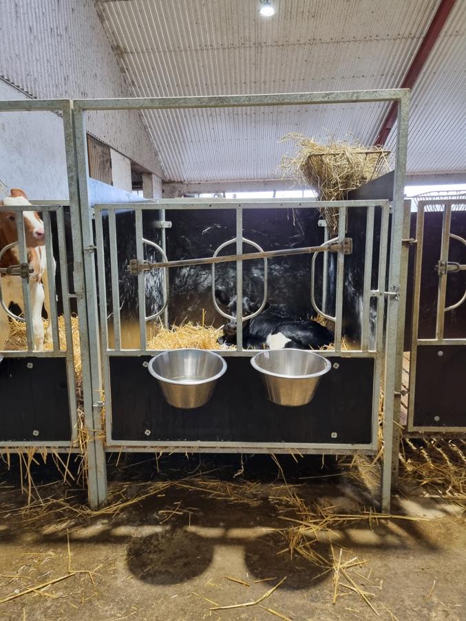 DeLaval kalveboks CB20