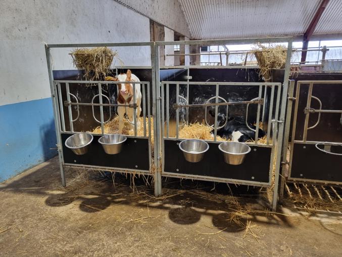 DeLaval kalveboks CB20