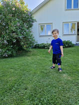 Kurze (Arbeits) Hose Kinder