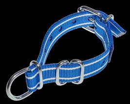 Halsband til geit