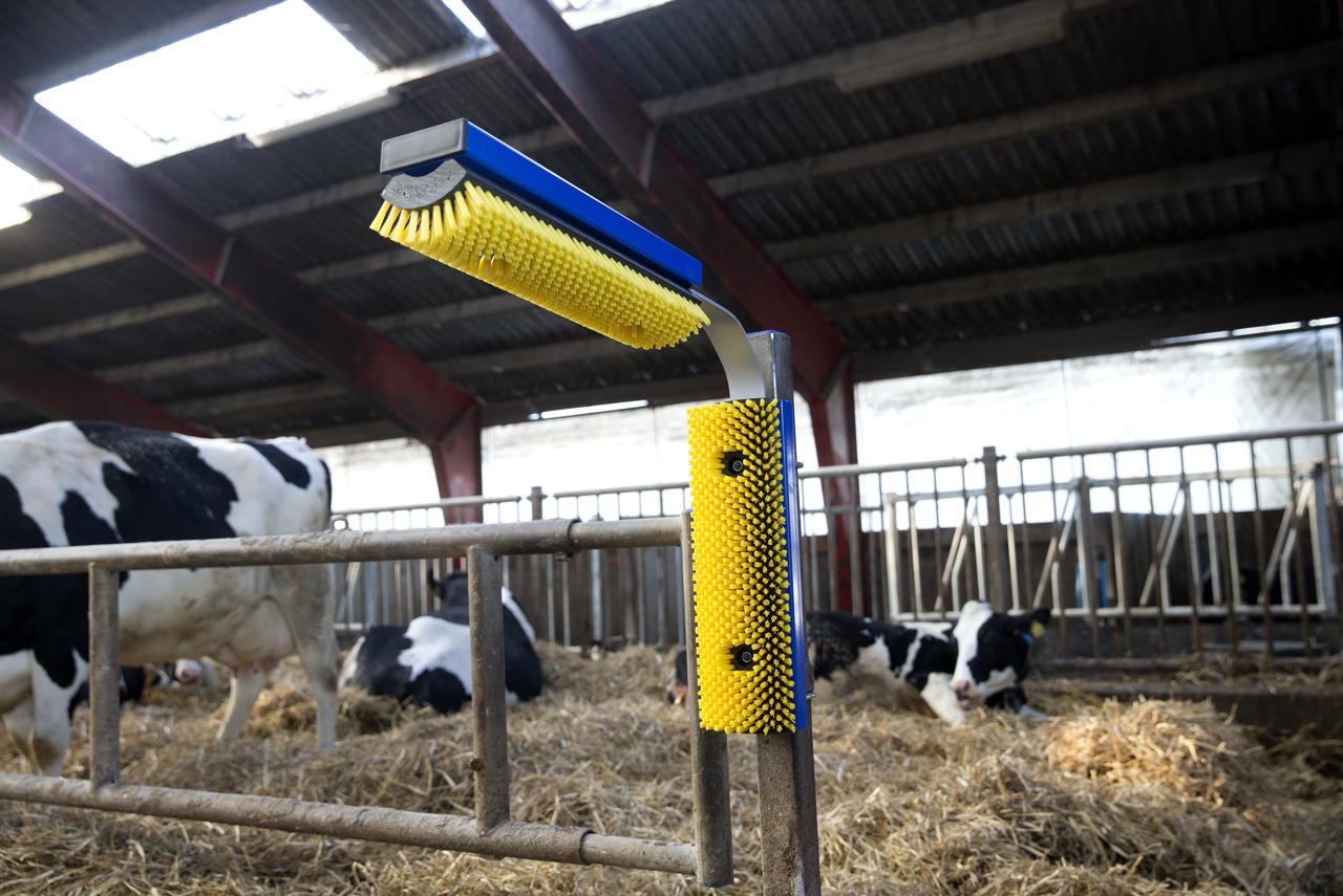 DeLaval Stationary Brush DeLaval
