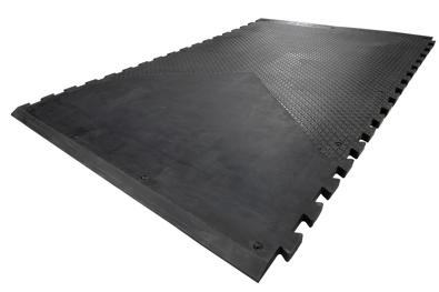 Tapis Premium RM37F DeLaval