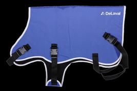 Calf coat Product image