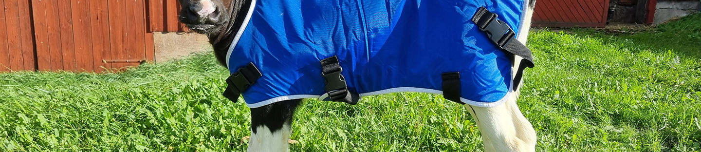 DeLaval calf coat