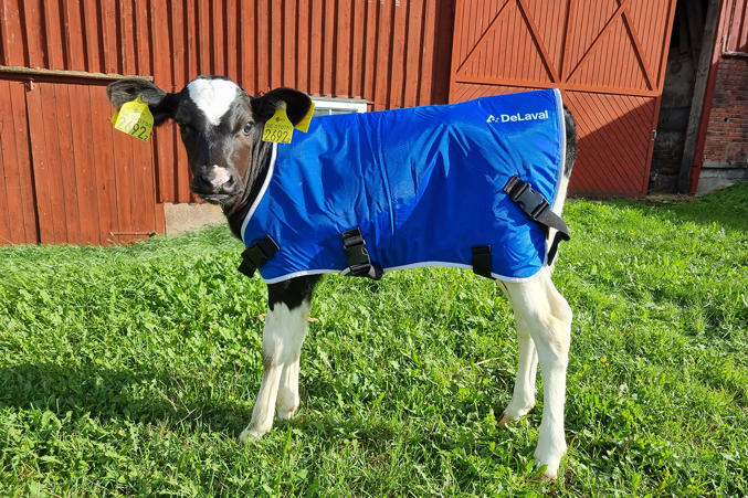 DeLaval calf coat