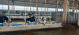 Barriera antiavanzamento BB120 e BB100