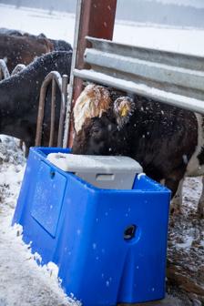 DeLaval eluppvärmt vattenkar HPT50