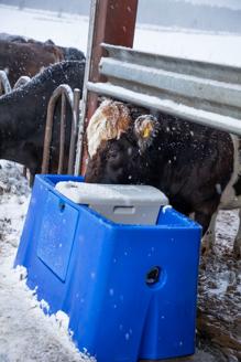 DeLaval eluppvärmt vattenkar HPT50 Produktbild