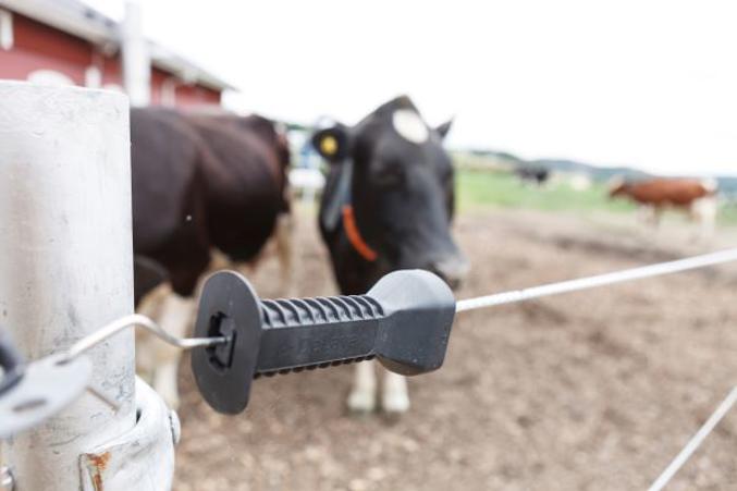DeLaval elastic gate