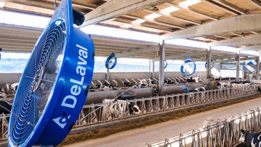 folleto campaña delaval ventilación 2025