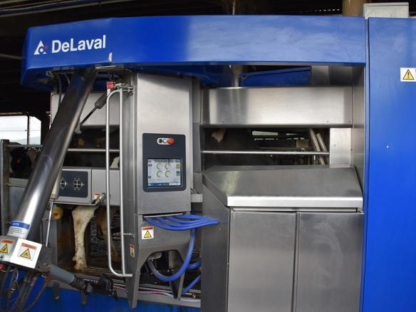 A Campaza-Robot de ordeño DeLaval