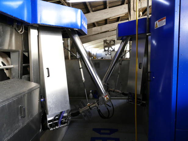 ganaderos delaval granja dematias robots de ordeño ganaderos delaval granja dematias robots de ordeño