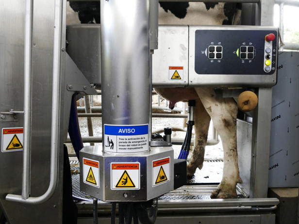 ganaderos delaval granja xacobe robots de ordeño ganaderos delaval granja xacobe robots de ordeño